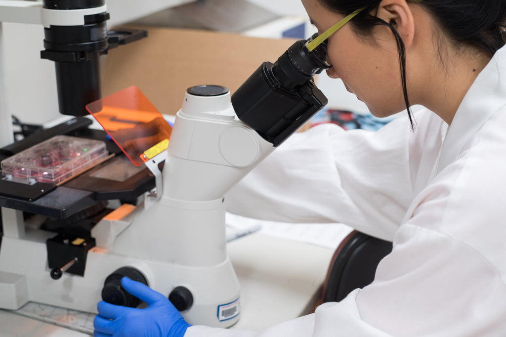 Fluorescence Microscope Buying Guide: Choosing the Right System for Your Lab
