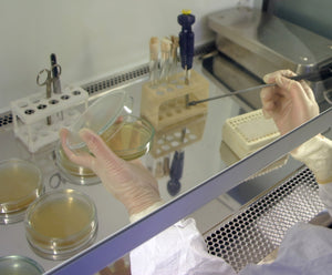 Safety Tips: Working In Biological Safety Cabinets Amid COVID-19