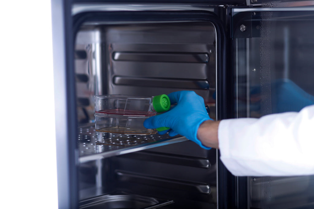 5 Essential Features to Consider in a CO2 incubator
