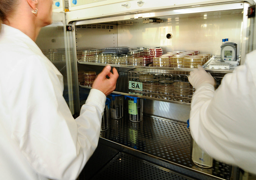 Top Tips for Maintaining Refrigerated Incubators in Labs- Here’s how