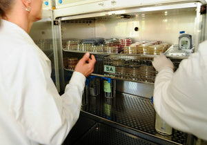Top Tips for Maintaining Refrigerated Incubators in Labs- Here’s how
