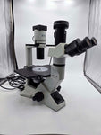 Olympus CKX41SF Inverted Phase Contrast Microscope