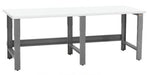 Economy 8 foot Lab table (30"D x 96"L x 36"H) | LTE3096-PL